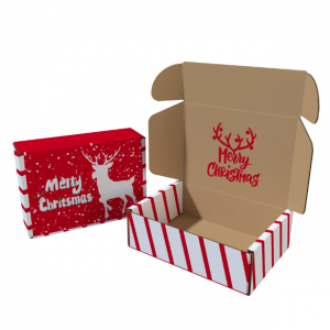 Christmas Gift Mailer Box